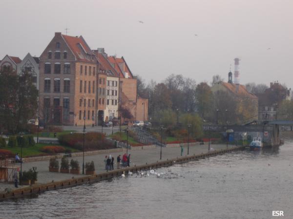 38502.jpg