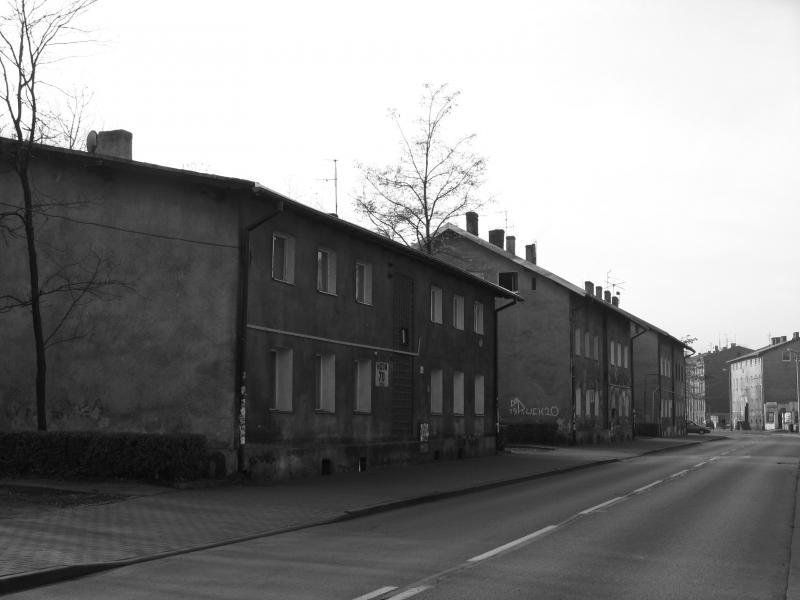 38537.jpg