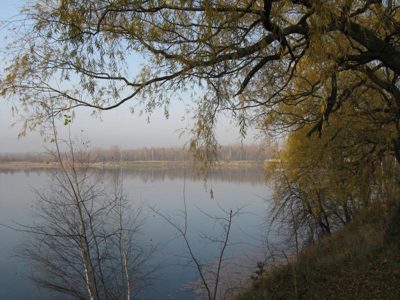 38539.jpg