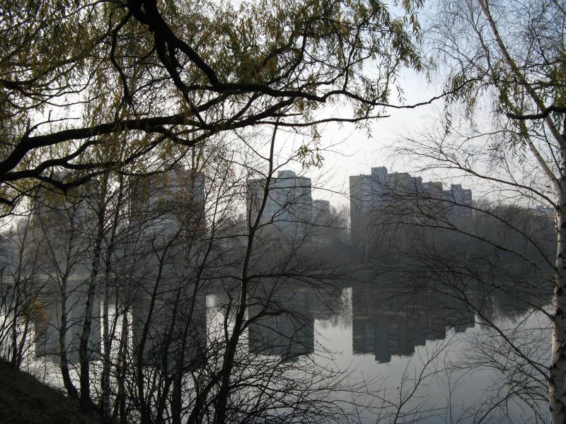 38540.jpg
