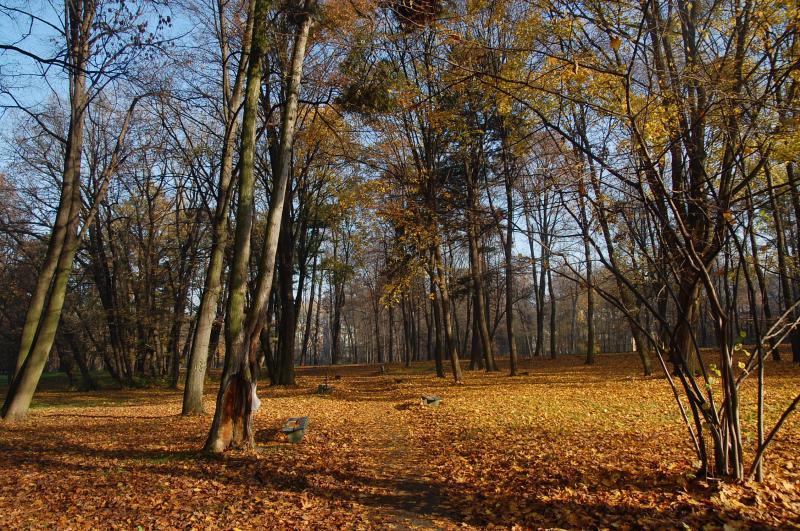 park, brzesko