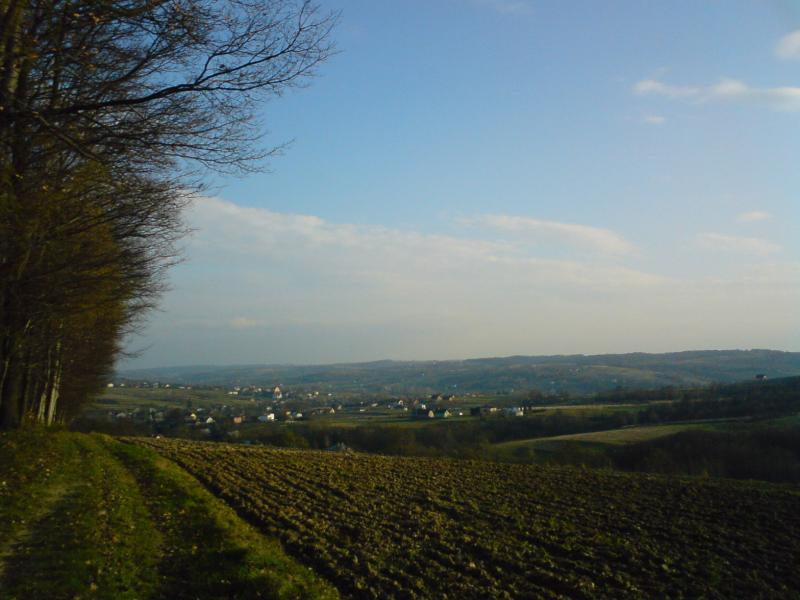 38596.jpg