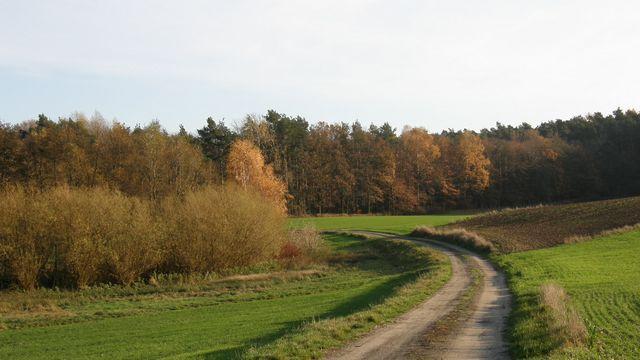 38599.jpg