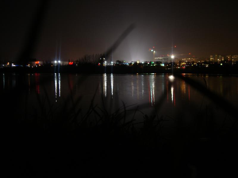 38745.jpg