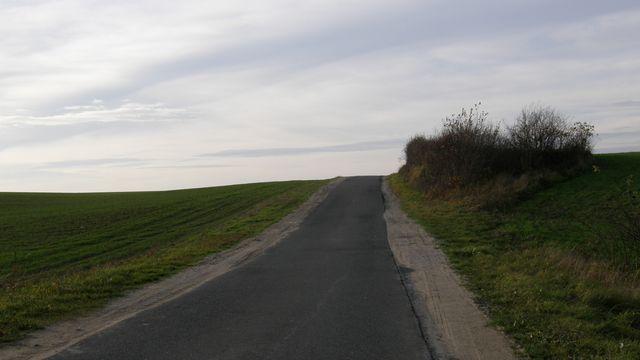 38813.jpg