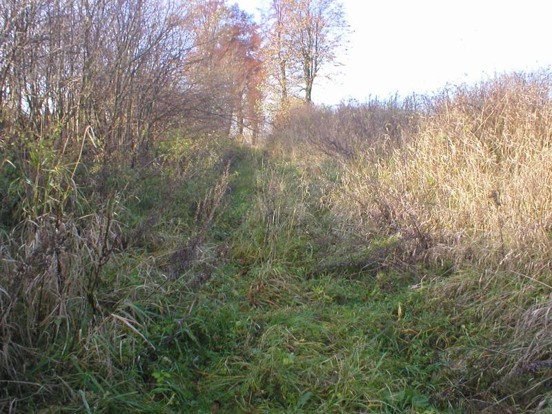 11, żuławy, rajd