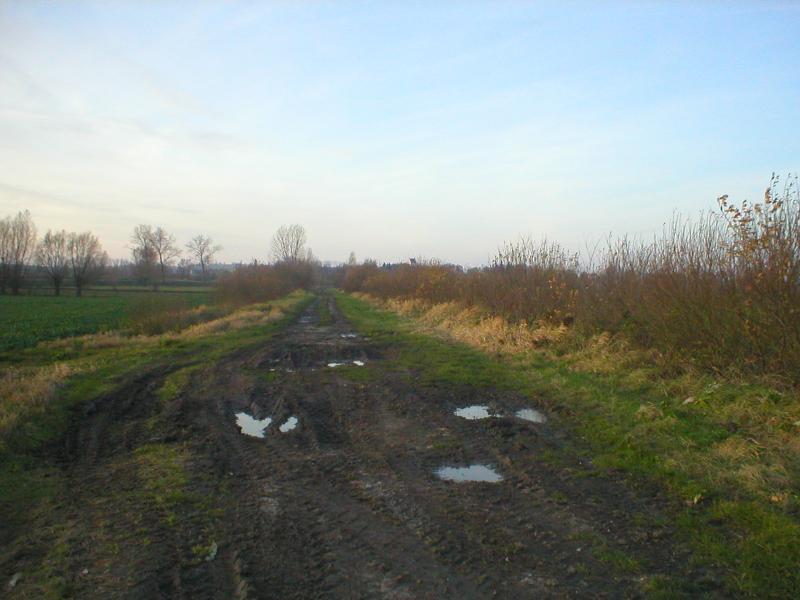 11, żuławy, rajd