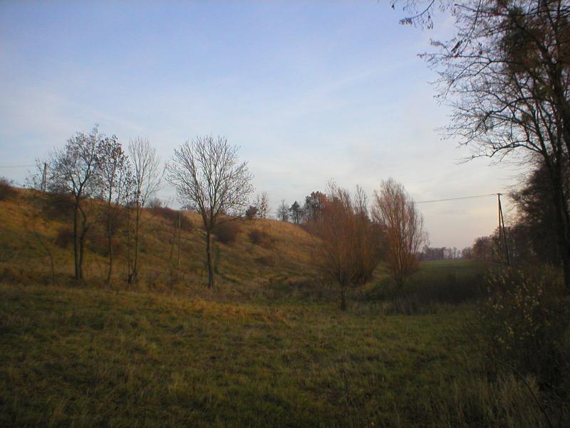 38862.jpg