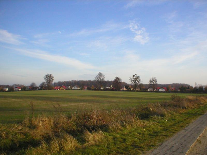 38864.jpg