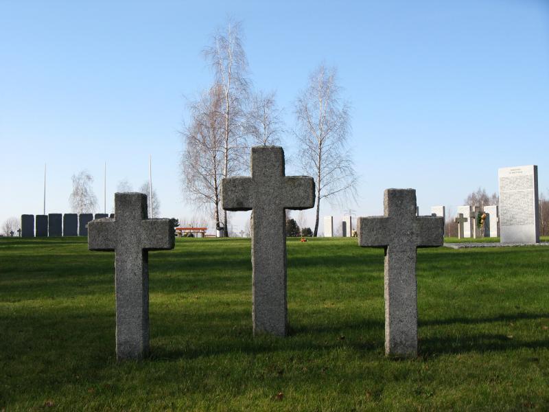 38973.jpg