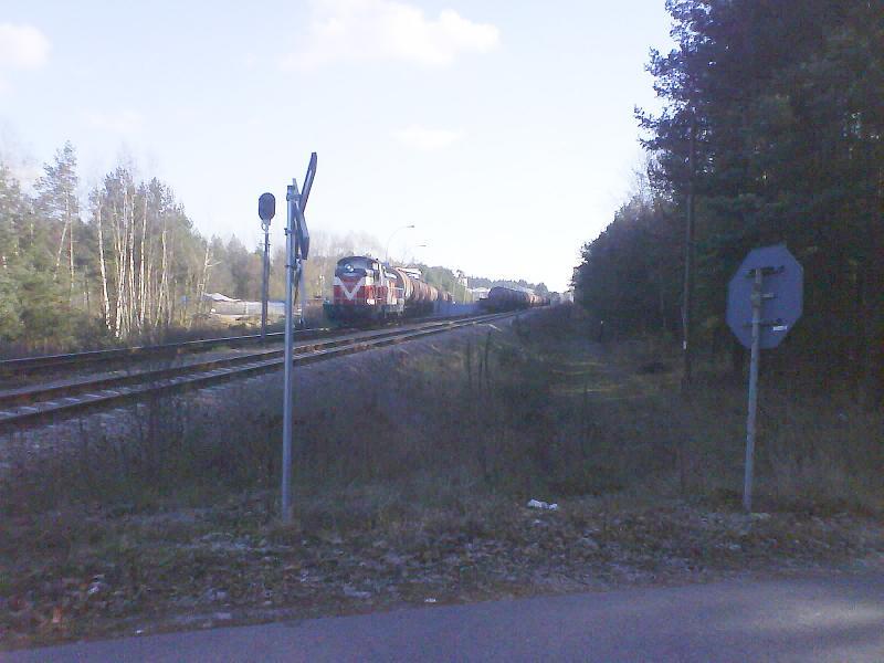 39231.jpg