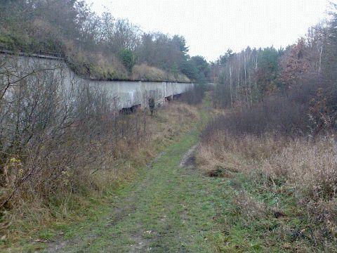39298.jpg