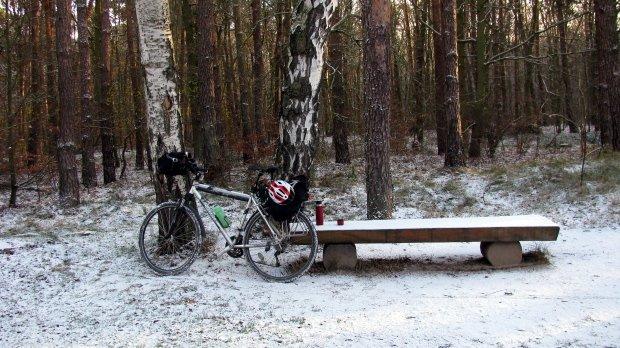las, śnieg, owczary