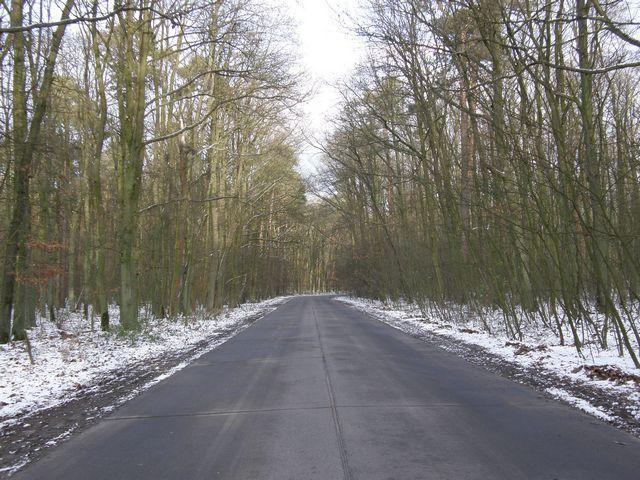 39412.jpg