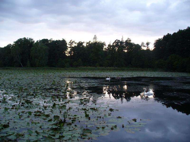 Staw w Krakowianach