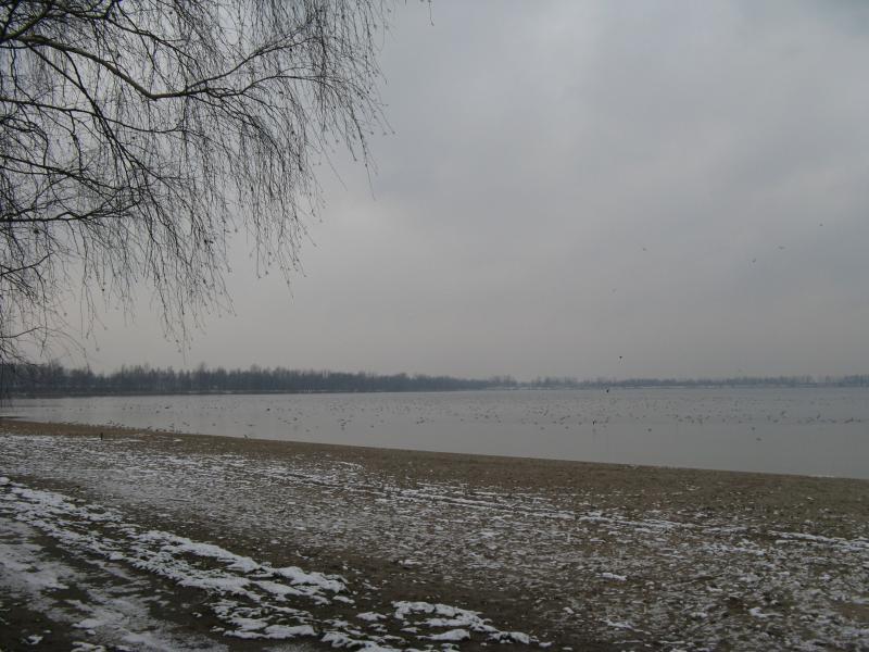 39625.jpg