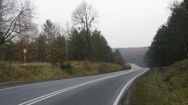 39873.jpg