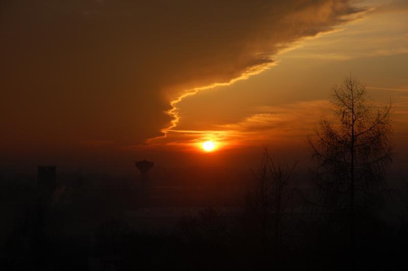 zachód słońca, sosnowiec