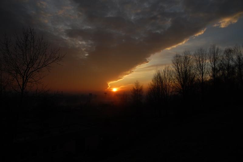 zachód słońca, sosnowiec