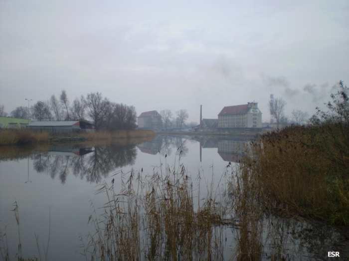 40271.jpg