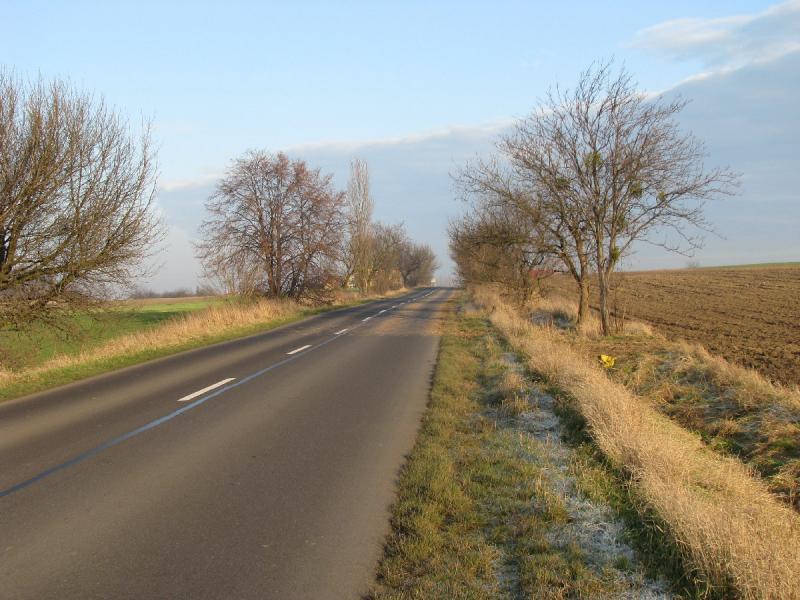 40636.jpg