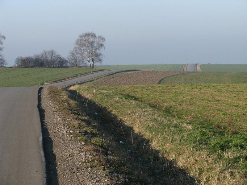 40637.jpg