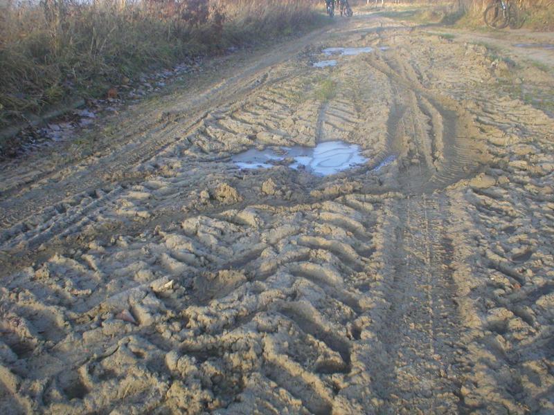 grudniowe pączki 2008, nowy staw