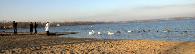 dąbrowa górnicza, pogoria 3