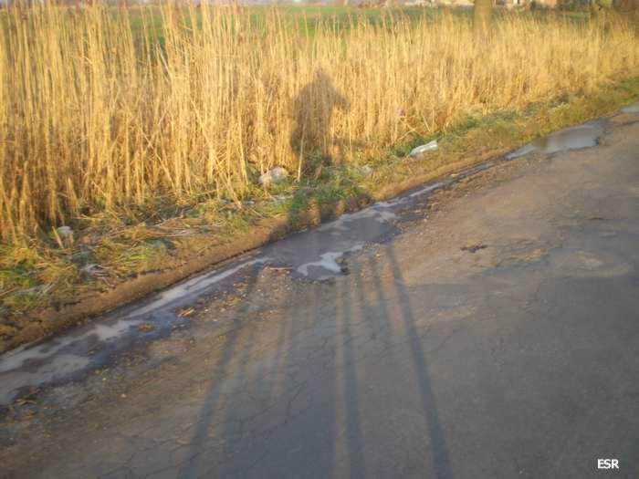 40752.jpg