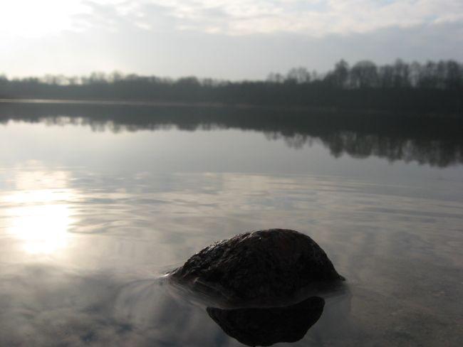 40853.jpg