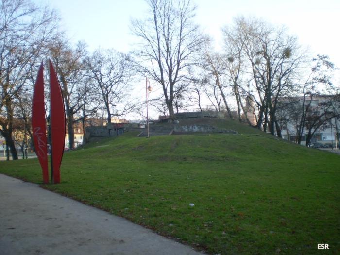 40877.jpg
