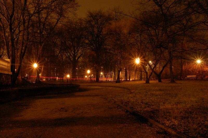 sosnowiec, pałac schoena