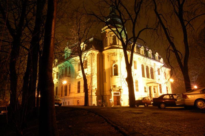sosnowiec, pałac schoena