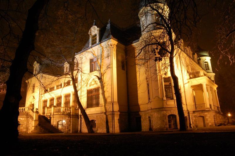 sosnowiec, pałac schoena