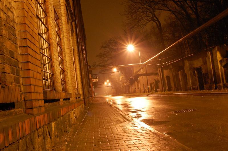 sosnowiec, pałac schoena