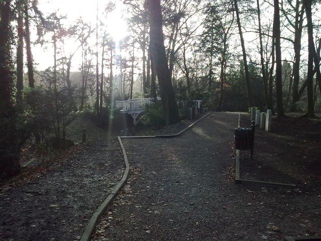 41061.jpg