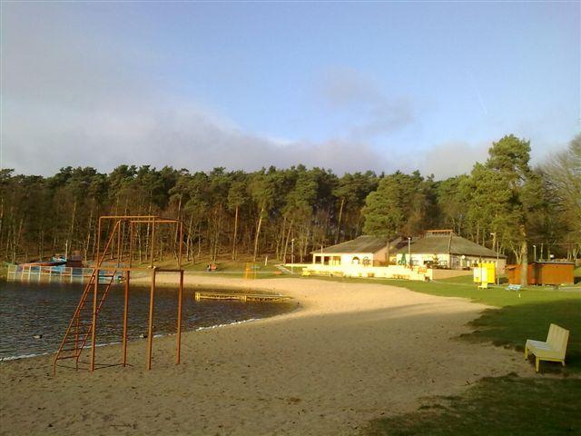 41073.jpg