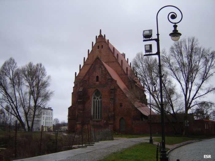 41091.jpg