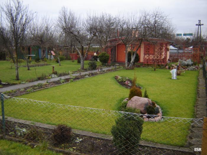 41095.jpg