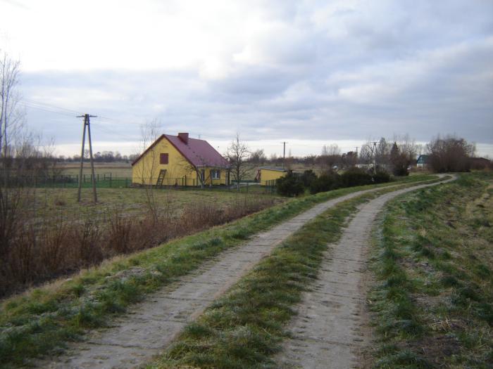 41262.jpg