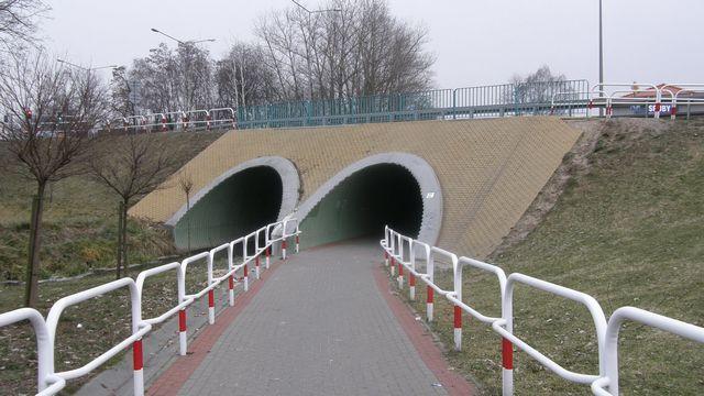 41368.jpg