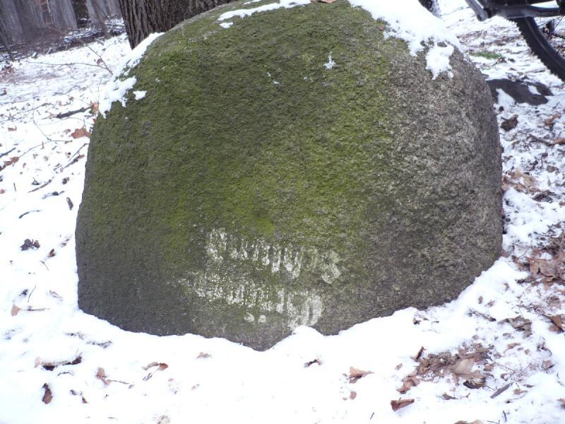 41451.jpg
