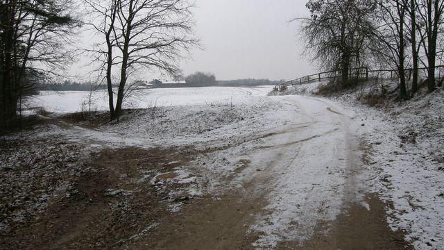41489.jpg