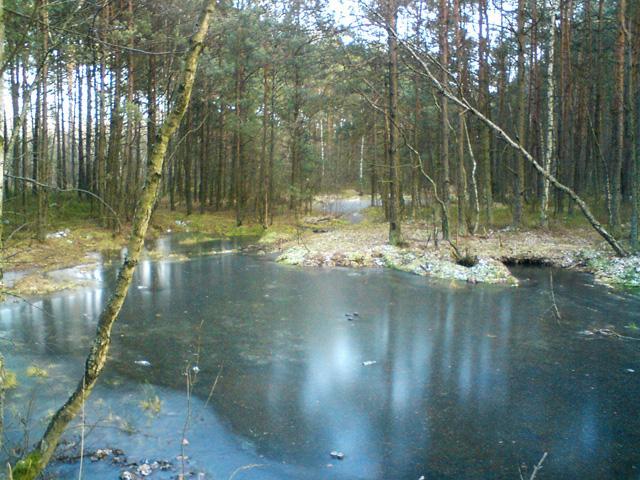 41553.jpg