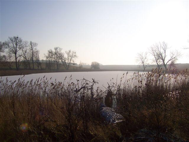 41572.jpg