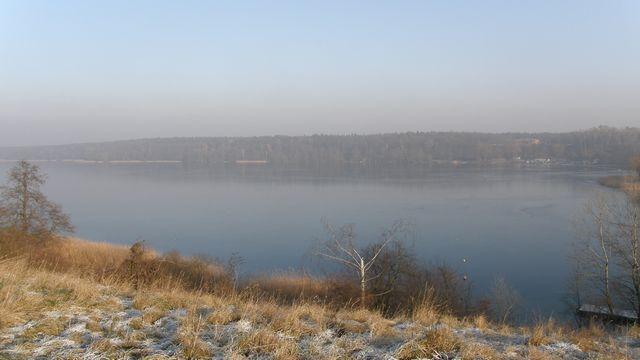 41577.jpg