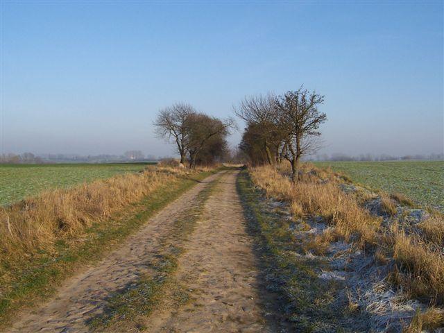 41594.jpg