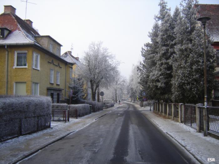41631.jpg