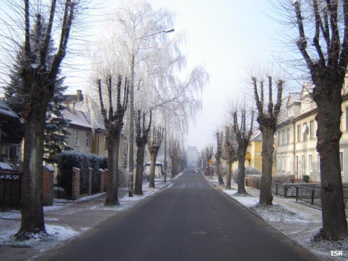 41632.jpg