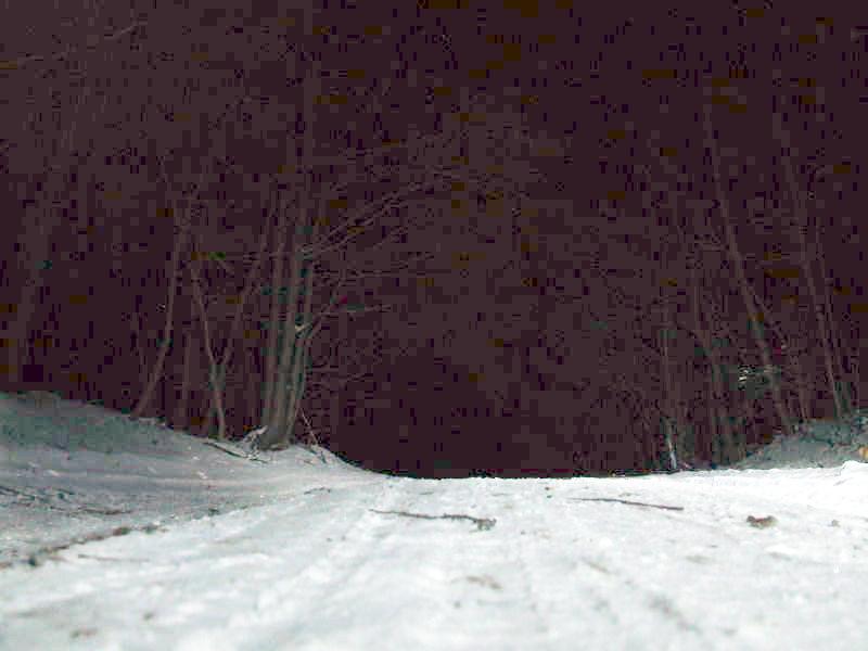 41654.jpg